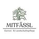 Alexander Mitfaessl